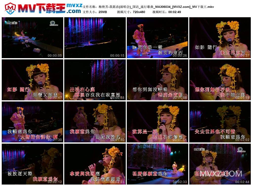 梅艳芳-我愿意(演唱会)_国语_流行歌曲_MA306034